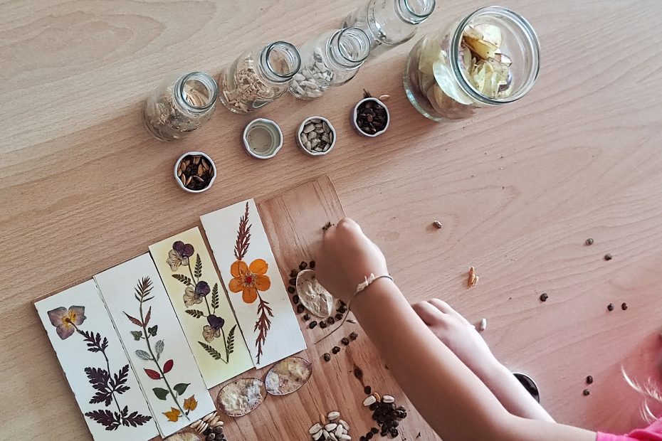 Aperte le iscrizioni l’anno 2026/2027